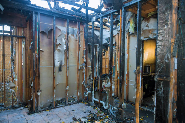 Professional Fire Damage Removal technician working in Germantown, OH